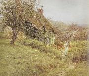 Helen Allingham,RWS South Country Cottage (mk46) oil painting on canvas